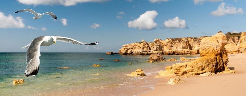 Espacoso Apt T2, Em Olhos Agua Albufeira Exteriér fotografie